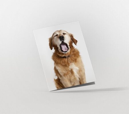 Greetings Cards