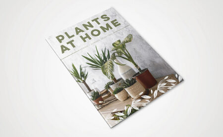 A6 Stapled Brochures
