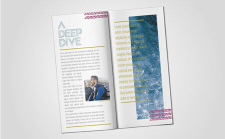 DL Stapled Brochures