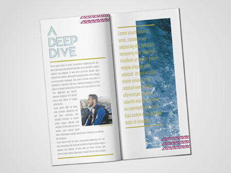 DL Stapled Brochures